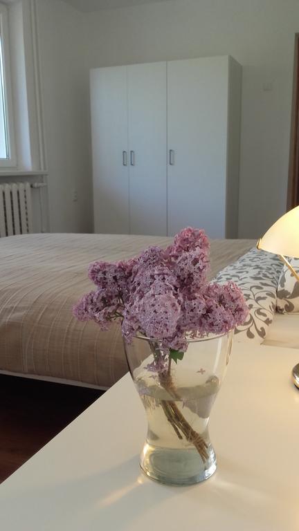 Trakai White Apartments エクステリア 写真